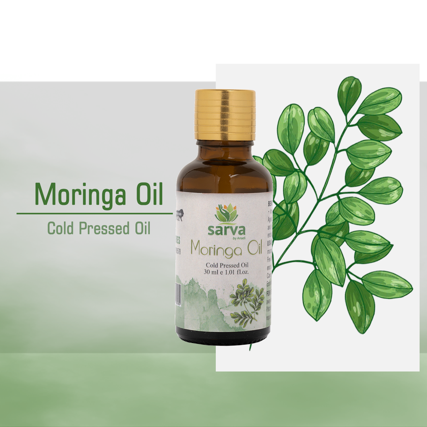 Moringa Oil | Boosts Skin Hydration | Strengthen Hair | Reduces Split-ends