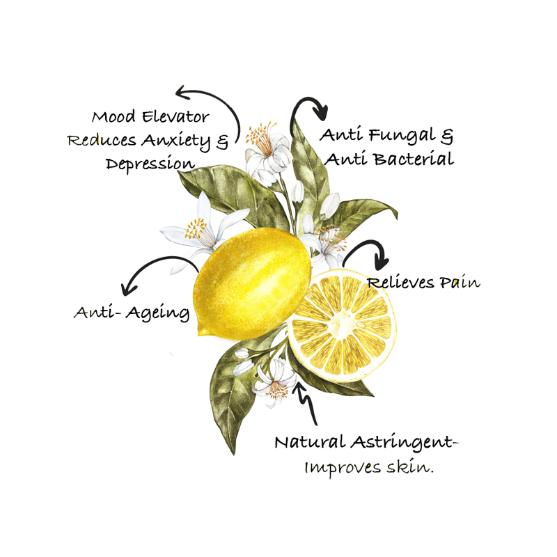 Lemon Oil | Anti-Ageing | Anti dandruff | DIY |