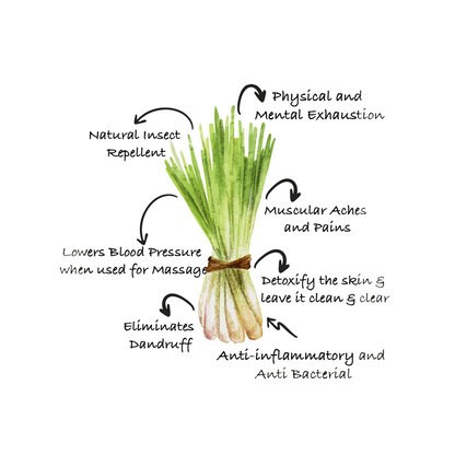 Lemongrass Essential Oil | Natural Insect Repellent | Aromatherapy | Diffuser Oil
